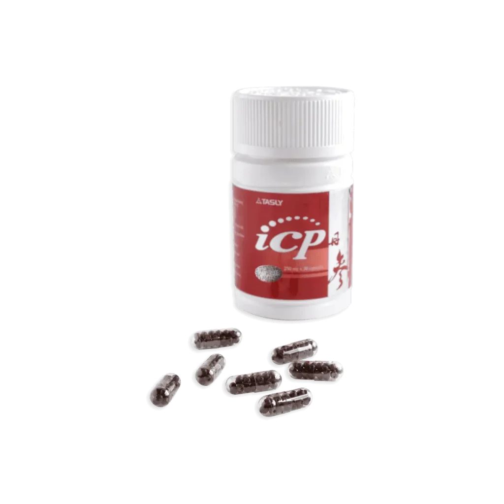 icp capsule tasly asli